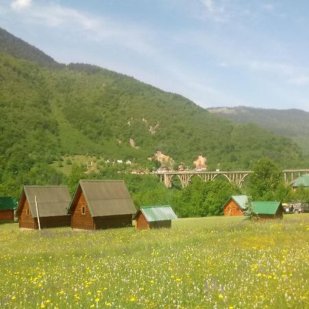 Kamp Rafting Kljajevica Luka Villa Pljevlja Cameră foto